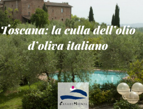 Toscana: la culla dell’olio d’oliva italiano
